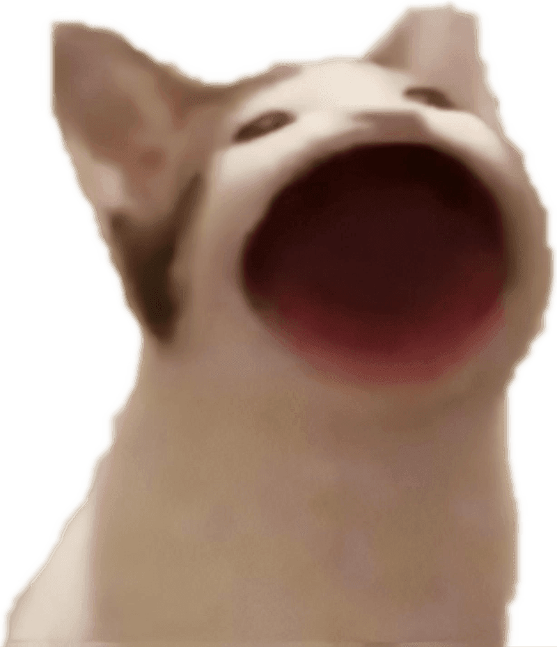 Pop Cat